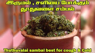 இருமல் , சளியை போக்கும் தூதுவளை சம்பல் | Thuthuvalai sambal best for cough \u0026 Cold | Natural medicine