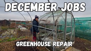 December Allotment Jobs \u0026 Greenhouse Repairs - Winter Gardening Tips