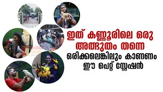 ഇത്  കണ്ണൂരിലെ ഒരു അത്ഭുതം തന്നെ : ഒരിക്കലെങ്കിലും കാണണം ഈ  പെറ്റ് സ്റ്റേഷൻ, Pet Station Kannur