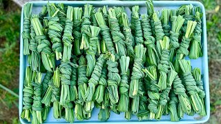 Harvesting our Lemongrass (Fall 2024)