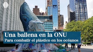 Aparece una ballena gigante frente a la ONU