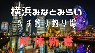 横浜みなとみらい　ヘチ釣りと釣り場紹介