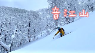 【さとっぺ】音江山でパウパウダー  バックカントリー スキー 2022  【北海道雪山登山ガイド】 Backcountry skiing Hokkaido Japan snow Mt.Otoeyama