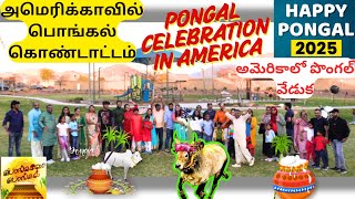 அமெரிக்காவில் பொங்கல் கொண்டாட்டம் | Pongal Celebration in America 2025