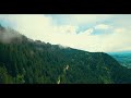 | Organic House Music 4K Forest | Morning Coffee with LuxeChillOut| 2023