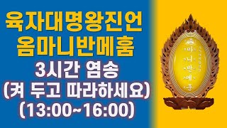 대한불교진각종 보정심인당 새해대서원불공 토요(1/8) 3시간 용맹정진