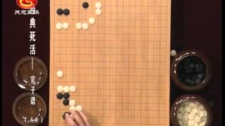 方天丰围棋经典死活：官子谱44