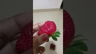 ഓപ്പറേഷന് തലേന്ന് 2കുപ്പി blood വേണം ട്ടോ#shortsvideo #malayalamcomady #food #trending #Stroberry