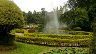 Nilambur teak museum one of the most historical and Beautiful places in kerala.hd