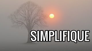 Simplifique a vida para estudar - Arata Livros #07