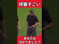 これぞプロ！球審の目が凄すぎ！ shorts baseball プロ野球