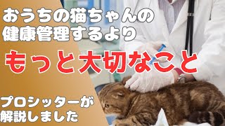 『プロのキャットシッターが教える』ねこちゃんの健康管理より大切な【忘れがちなこと】とは？