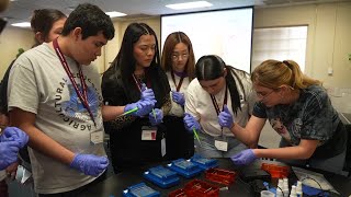 Rural high school students get first glimpse into their future with hands on pharmacy training