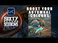 Boost Autumnal Colours in Lightroom