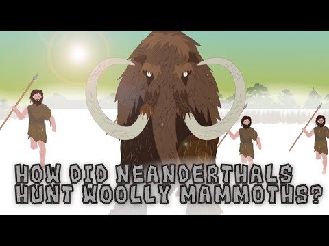 How did early humans kill animals?