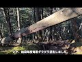 【栃木 金精山・五色山】急登の連続！白根山・五色沼は絶景！episode.12