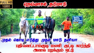 நெய்வாசல் நடுமாடு பந்தயம் | Neivasal Panthayam | ReklaRace | MRJ CreatioN| Subscribe | 14-08-2021