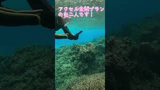 【石垣島】11時40分着の方と18時でお帰りの方♪1月15日シュノーケリングツアー動画