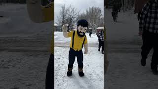 This Is Flagstaff Arizona