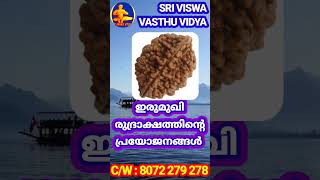 ഇരുമുഖ രുദ്രാക്ഷത്തിന്റെ സവിശേഷതകൾ || രുദ്രാക്ഷം || short || SRI VISWA VASTHU VIDYA