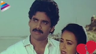 Nagarjuna loves Amala at the Taj Mahal | Love Scene Of The Day | Telugu Filmnagar