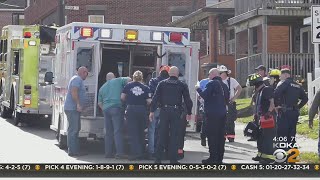Man dead after falling from tree in Ellwood City