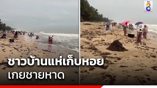 ชาวบ้านแห่เก็บหอย เกยชายหาด | ข่าวช่อง8