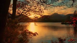 Golden Evening Light ~ Relax Music