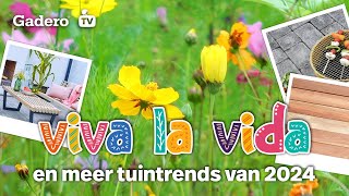 Tuininspiratie 2024: Viva la Vida, Gentle Paradox, en Duurzaam Genieten!