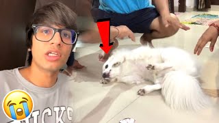 Oreo Ko Attack Aagya || Sourav Joshi Vlogs 😱😭