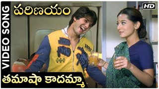 Parinayam Movie | Tamasha Kadamma Video Song | Shahid Kapoor | Amrita Rao | Vivah | Rajshri Telugu