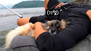 자전거로 강아지와 여행하기 ㄷㄷ