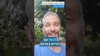 טיפול עצמי במצבי חרדה - 6 - שהייה בטבע