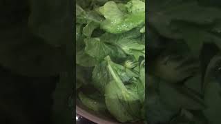 Stir fry snow pea tips 清炒雪豆苗