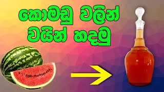 Watermelon Wine (කොමඩු වයින්)