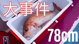 伊勢湾ジギングで78cmの大鯛が釣れました