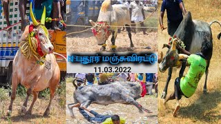 N PUDUR JALLIKATTU/ N புதூர் மஞ்சுவிரட்டு/2022