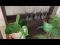 indoor houseplant tour ｜part 4 4 室内植物