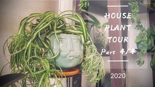 Indoor Houseplant Tour ｜Part 4/4 室内植物