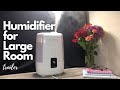 Trailer | Air Humidifier for Large Room | 5L Cool and Warm Mist | For Baby Nursery and Plants