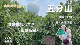 新北平溪區五分山757M｜ 許家手工麵線｜華梵大學｜開車可到登山口｜草叢秘密路線｜小百岳⛰️