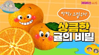 상콤 달콤! 귤에게 숨겨진 비밀?ㅣ귤은 어떻게 만들어질까?ㅣ아하! 그렇구나ㅣKBS 방송