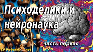 Психоделики и нейронаука.