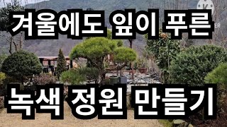 겨울에도 잎이 푸른 녹색 정원 만들기 정원가꾸기