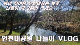 봄이 찾아온 인천대공원 나들이 VLOG 2분만에 즐겨봐요^^ Cherry Blossom Outing VLOG at Incheon Grand Park in Korea