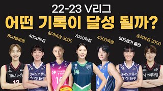 2022-23 V리그 여자부에서 달성될 개인 기록을 알아보자