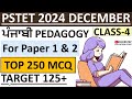 PUNJABI PEDAGOGY for PSTET 2024 MCQ Series|L-4