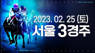 (서울) 2023.02.25 3경주 펄롱 지점 두마리 대차로 앞선 단독경합