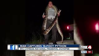 Man Captures 16-Foot-Python