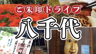 【御朱印】村上緑地公園の彼岸花～七百餘所神社の限定御朱印～道の駅やちよのアジフライ定食